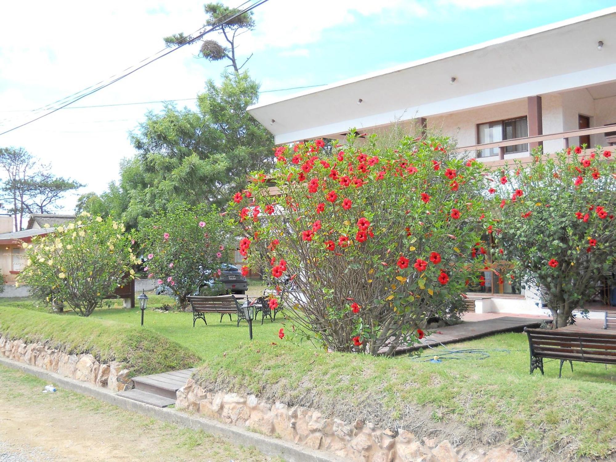 Hotel Yeruti La Paloma Ngoại thất bức ảnh